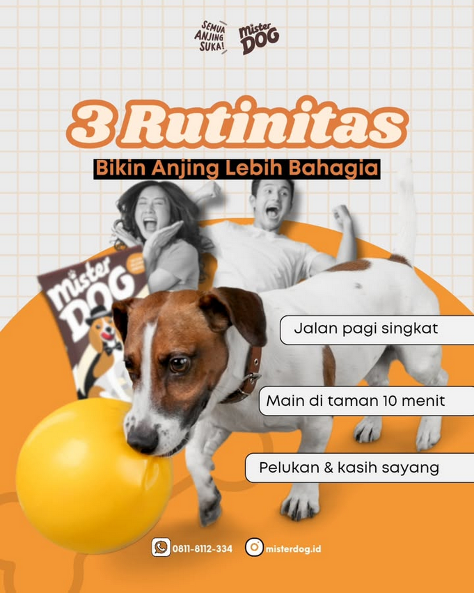 3 Rutinitas Bikin Anjing Lebih Bahagia